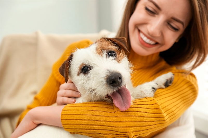 A cheerful woman in a yellow sweater cuddles a happy white and brown terrier dog, both appearing joyful indoors - Pet Heartworm Prevention And Treatment A cheerful woman in a yellow sweater cuddles a happy white and brown terrier dog, both appearing joyful indoors - Pet Heartworm Prevention And Treatment